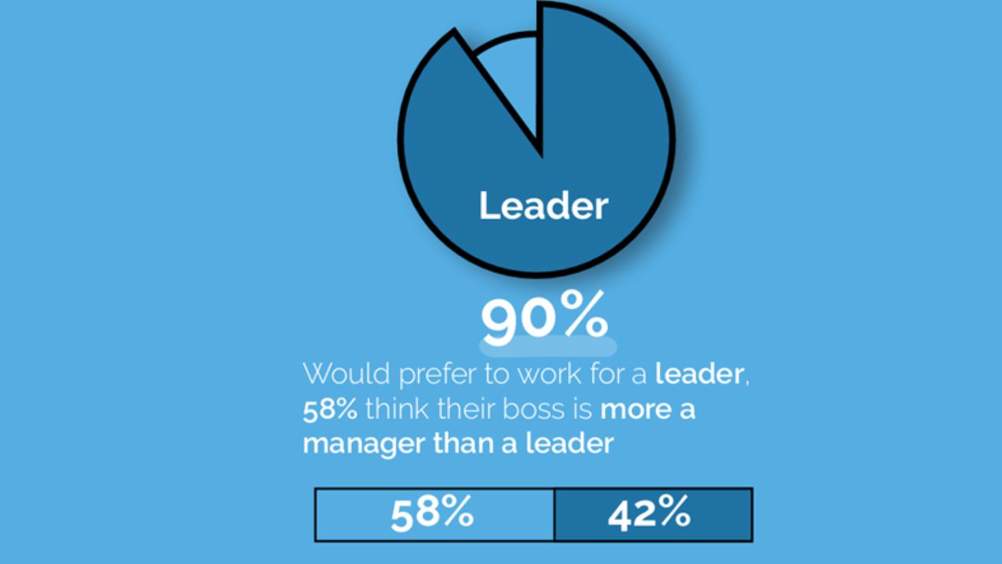 Productive Leader NL 2