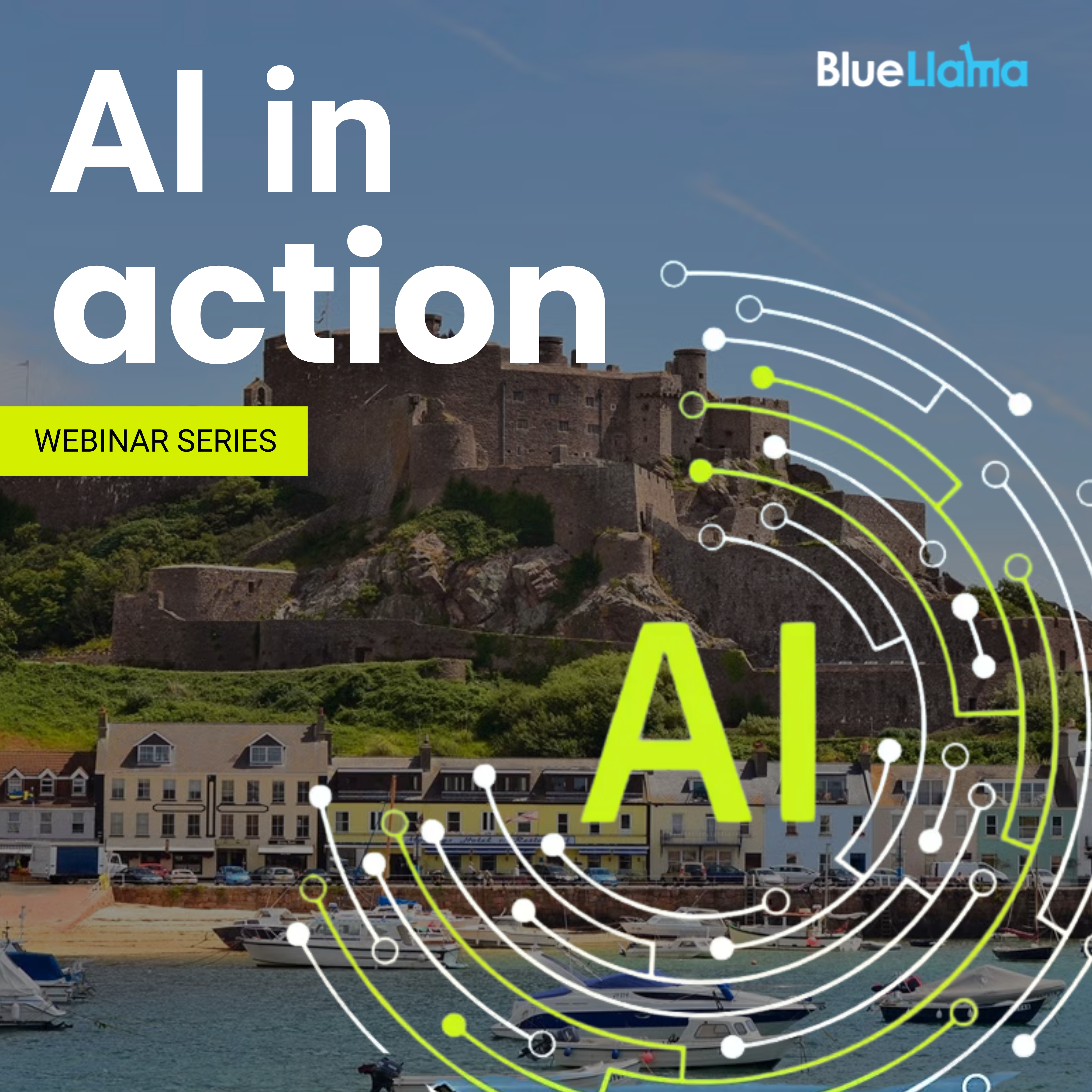 AI In Action Webinar Bluellama (4)