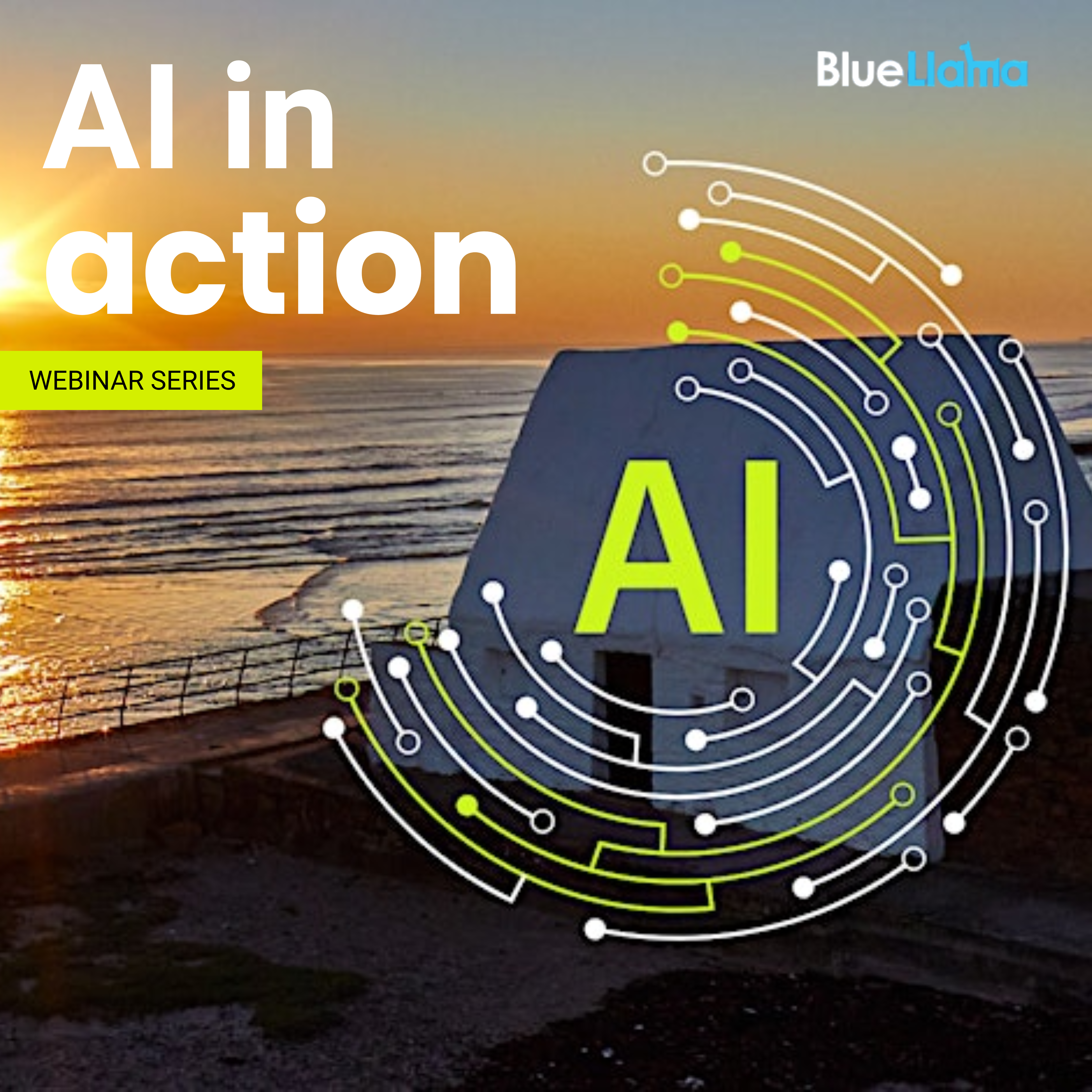 AI In Action Webinar Bluellama (1)