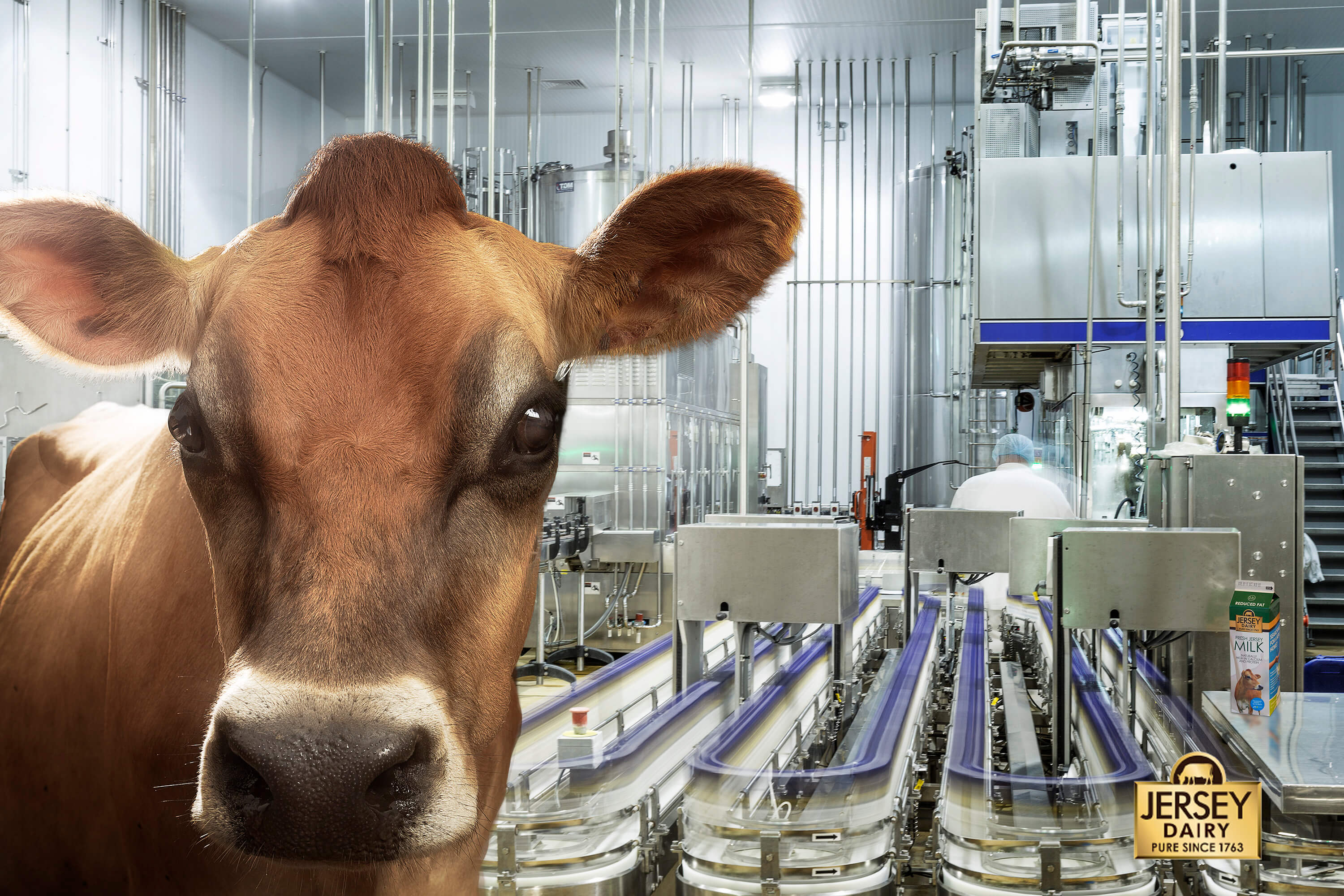 Jersey dairies, inc case study answers picture