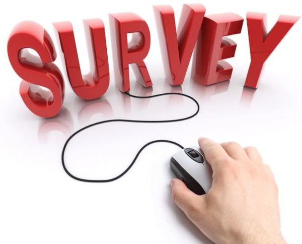 Annual survey image