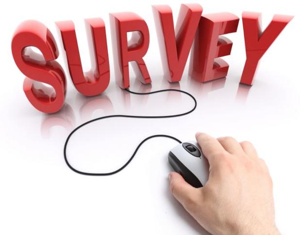 Annual survey image