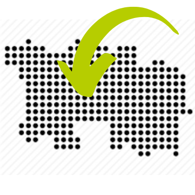 Import Image